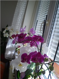8b70f20b-Picture 6155.jpg